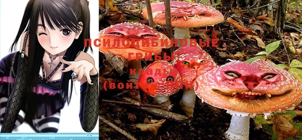 не бодяженный Дмитровск
