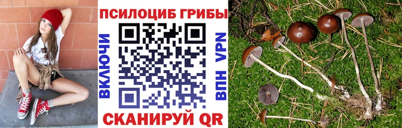 Псилоцибиновые грибы ЛСД  MEGA рабочий сайт  Онега  где купить наркоту 